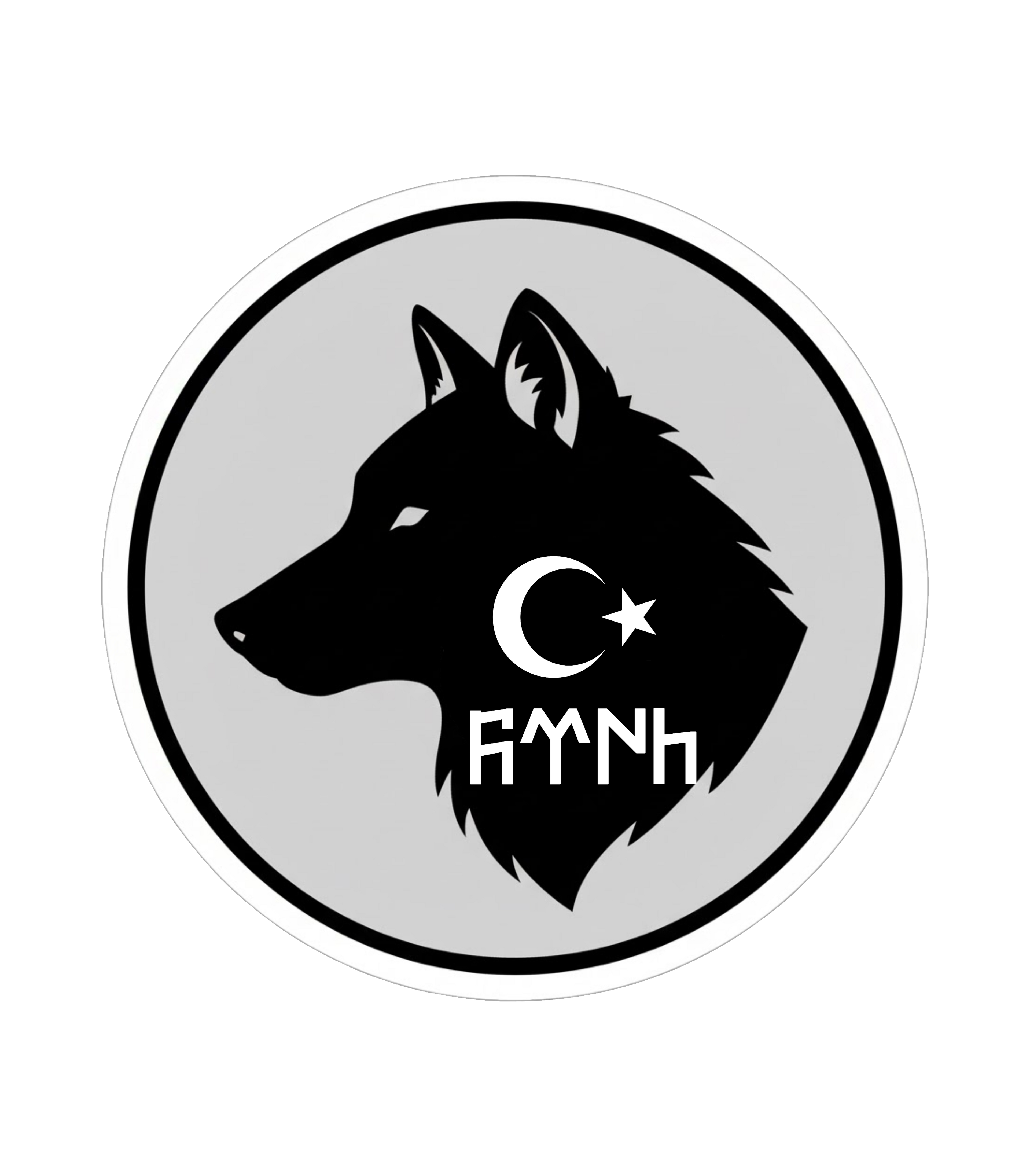 gokturk